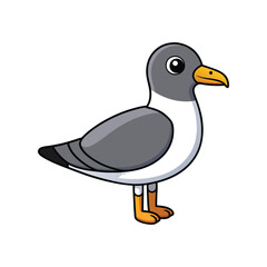  Franklin's Gull Bird Realistic Illustration