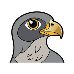  Charming Goshawk Bird Design