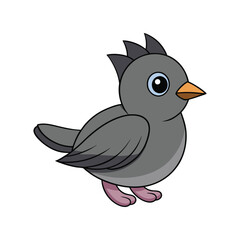  Vivid Gray Catbird Bird Vector