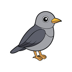  Stunning Gray-cheeked Thrush Bird Illustration