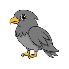  Elegant Gray Hawk Bird Vector