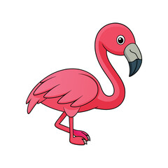  Stunning Greater Flamingo Bird Illustration