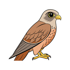  Charming Greater Kestrel Bird Design