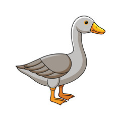  Vivid Greater White-Fronted Goose Design
