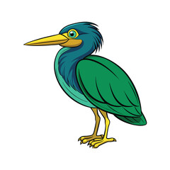  Realistic Green Heron Bird Illustration