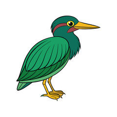 Obraz premium Green Heron Bird Colorful Artwork