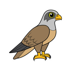  Gyrfalcon Bird Realistic Art