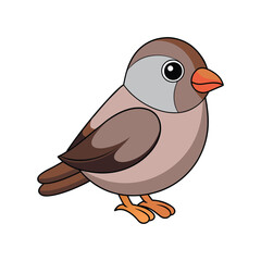  Vivid Hoary Redpoll Bird Design