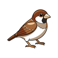  House Sparrow Bird Colorful Artwork