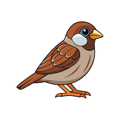  Realistic House Sparrow Bird Illustration