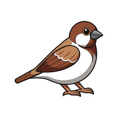 Fototapeta premium Vivid House Sparrow Bird Design