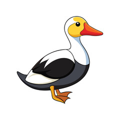  Stunning King Eider Nature Illustration