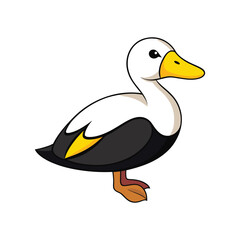 Obraz premium King Eider Bird Realistic Illustration
