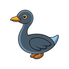  Bright Least Grebe Bird Artwork