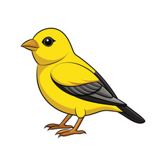  Lesser Goldfinch Bird Colorful Illustration