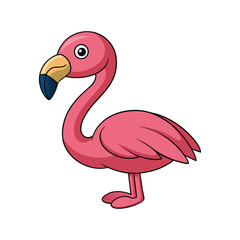  Lesser Flamingo Bird Colorful Illustration