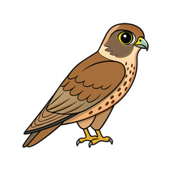Obraz premium Elegant Lesser Kestrel Bird Vector