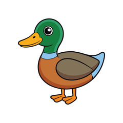  Stunning Mallard Bird Design