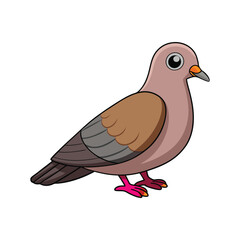  Vivid Mourning Dove Bird Design