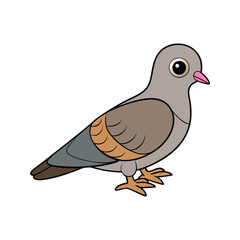 Elegant Mourning Dove Bird Vector