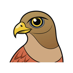  Majestic Northern Harrier Bird Artwork