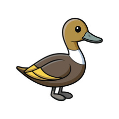  Stunning Northern Pintail Bird Illustration