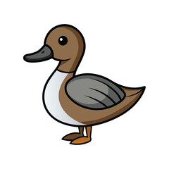  Charming Northern Pintail Bird Design