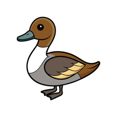  Elegant Northern Pintail Bird Vector