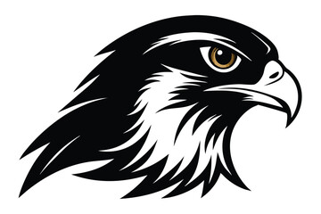 Sharp Eagle Head with White and Black Feathers and Intense Gold Eye on White