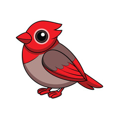  Realistic Red-Eyed Vireo Bird Illustration