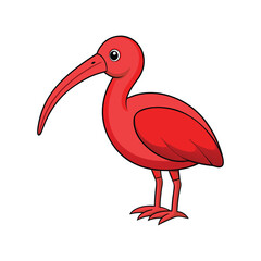  Scarlet Ibis Bird Colorful Illustration