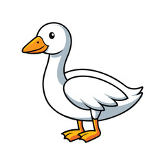  Snow Goose Bird Colorful Illustration