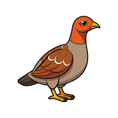  Bright Spruce Grouse Bird Artwork