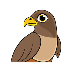  Bright Swainson's Hawk Bird Artwork