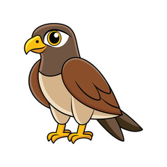  Vivid Swainson's Hawk Bird Design