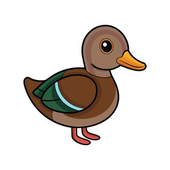  Vivid Wood Duck Bird Design