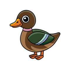  Stunning Wood Duck Nature Illustration