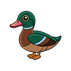  Bright Wood Duck Bird Artwork