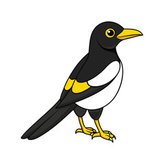  Charming Yellow-billed Magpie Bird Artwork