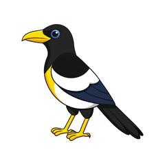  Stunning Yellow-billed Magpie Bird Illustration