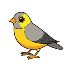  Elegant Yellow-eyed Junco Bird Vector