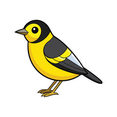  Stunning Yellow-throated Warbler Bird Illustration