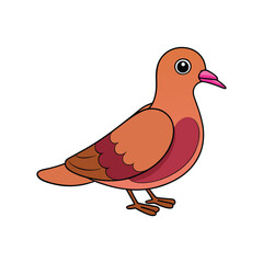  Vivid Zenaida Dove Bird Design