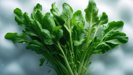 Fresh radish leaves with salad on a white background from the vegetable garden.