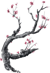 Realistic Sakura Blossom - Japanese Cherry Tree. Artistic Branch Plum Blossom. Vector