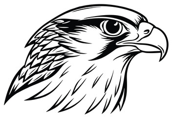 Detailed Eagle Head Profile Silhouette with Sharp Beak 