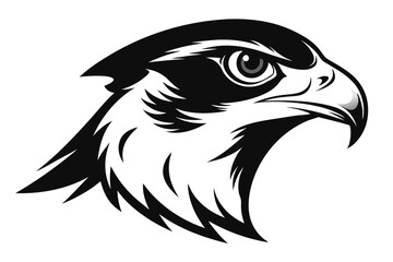 Monochromatic Falcon Eagle Head 