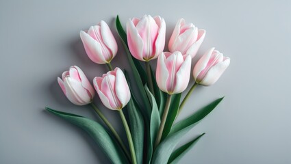 Obraz premium Bouquet of pink tulip flowers on a white background. Flat lay, top view.