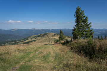 View from le petit ballon in the french vosges.