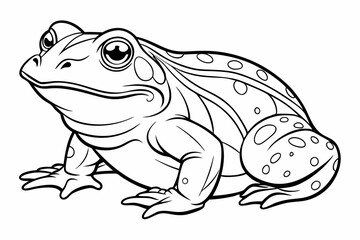 coloring page line art the african bullfrog vector
